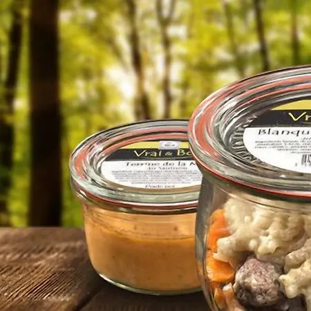 Brit Hermitage 3* Royan